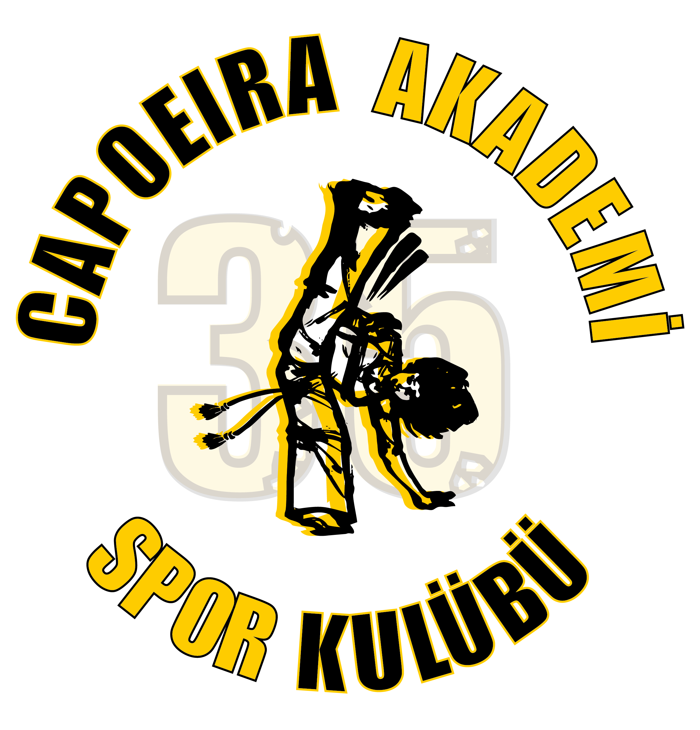 Capoeira Akademi